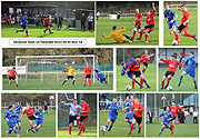 Verwood vs Fareham  Game-at-a-Glance