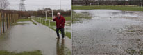 Pictures from the Potterne Lido