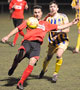 Spirited peformance as Verwood defeated by Title Favourites