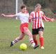 Quarter Final Defeat for Ladies