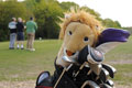 Golf Day a Roaring Success