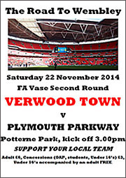 2014 Vase Game Poster